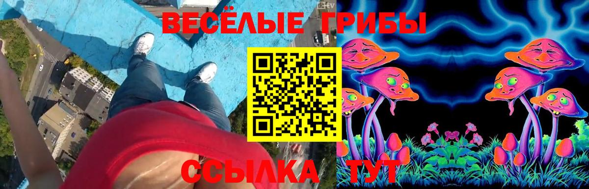Галлюциногенные грибы MAGIC MUSHROOMS Якутск